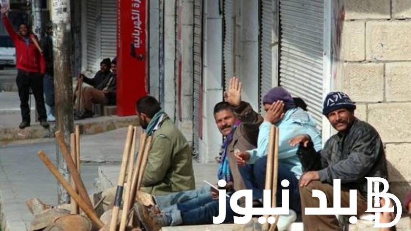 1000 جنية.. خطوات استعلام منحة العمالة الغير منتظمة ديسمبر 2023 بالرقم القومي عبر موقع وزارة القوى العاملةmanpower.gov.eg