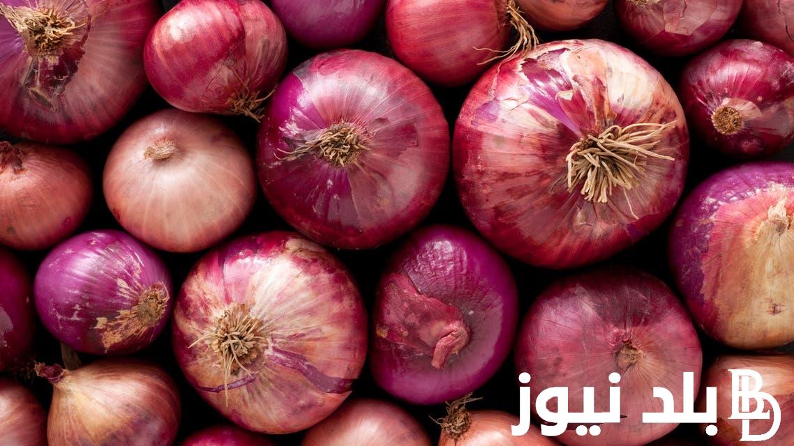 تعرف علي أسعار البصل اليوم بالطن بتاريخ 13 نوفمبر 2023 واسعار جميع الخضراوات بالأسواق المصرية