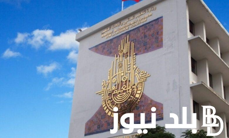موعد تقديم المنح والقروض 2023 لطلاب الماجستير والدكتوراه عبر mohe.gov.jo