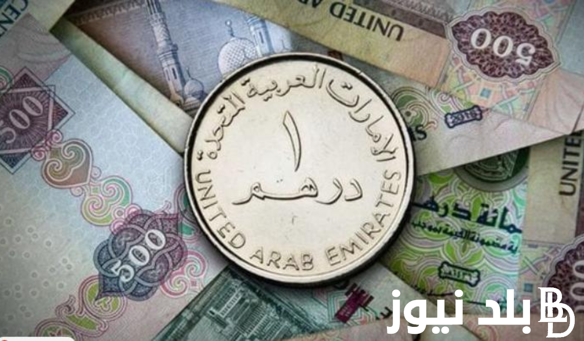سعر الدرهم الاماراتي في السوق السوداء اليوم 14 نوفمبر 2023 في مصــر
