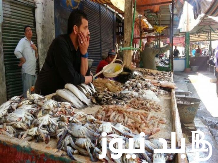 “المكرونة بـ100 جنيه” أسعار السمك اليوم بسوق العبور 18/11/2023 وأسواق التجزئة للمستهلك