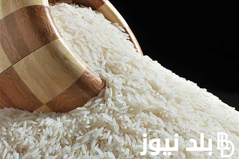 تعرف على أسعار الأرز الشعير اليوم الاربعاء 15/11/2023 في الأسواق المحلية للستهلك