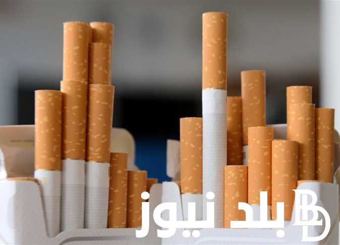 رسمياً «بعد ارتفاعها في المحلات».. كم سعر السجائر الرسمي اليوم الأربعاء 8 نوفمبر من شركة الشرقية للدخان بعد تعديلات قانون الضريبة المضافة