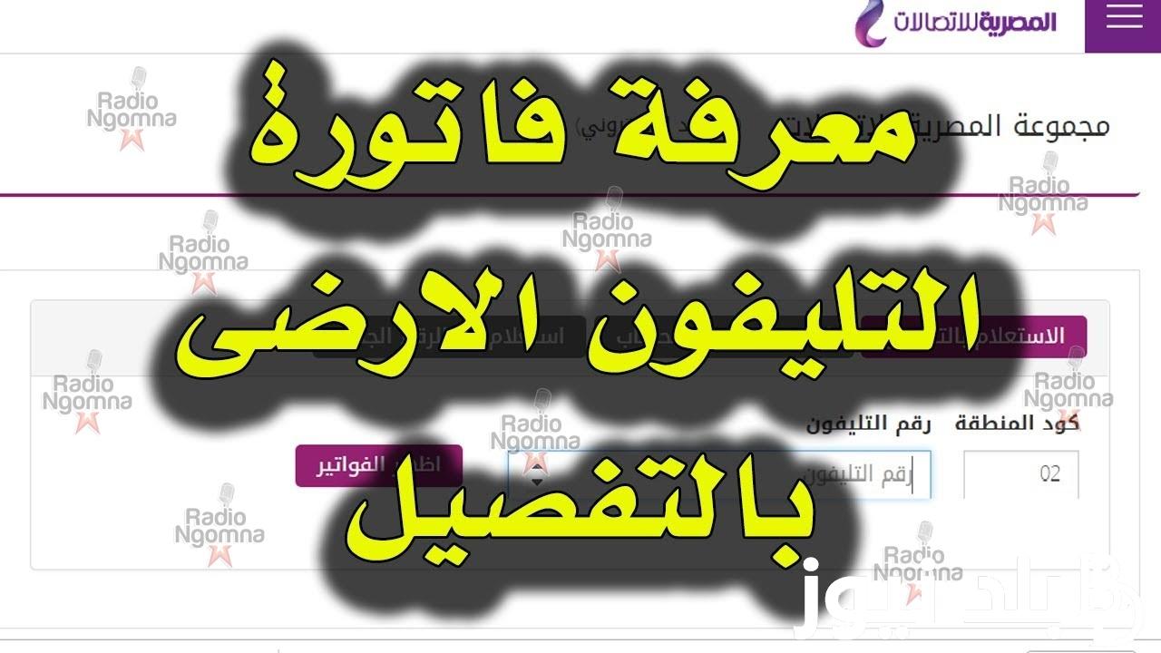 “من هُنا” الاستعلام عن فاتورة التليفون الأرضي بالرقم 2023 لشهر نوفمبر عبر موقع الشركة المصرية للاتصالات