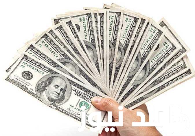الدولار تجاوز الـ 50 جنيه.. صدمة في سعر الدولار مع نهاية تعاملات اليوم الأحد 12 نوفمبر 2023