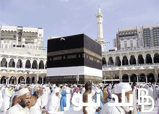 “إعرف الان” نتيجة قرعة الحج وزارة الداخلية 2023 بالرقم القومي عبر موقع بوابة الحج المصرية hij.moi.gov.eg