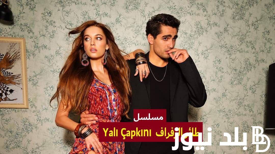 “فريد EgyBest” رابط تشغيل مسلسل طائر الرفراف الحلقة 47 على موقع ايجي بست وقصة عشق مجاناً مترجمة بدون إعلانات بجودة 1080