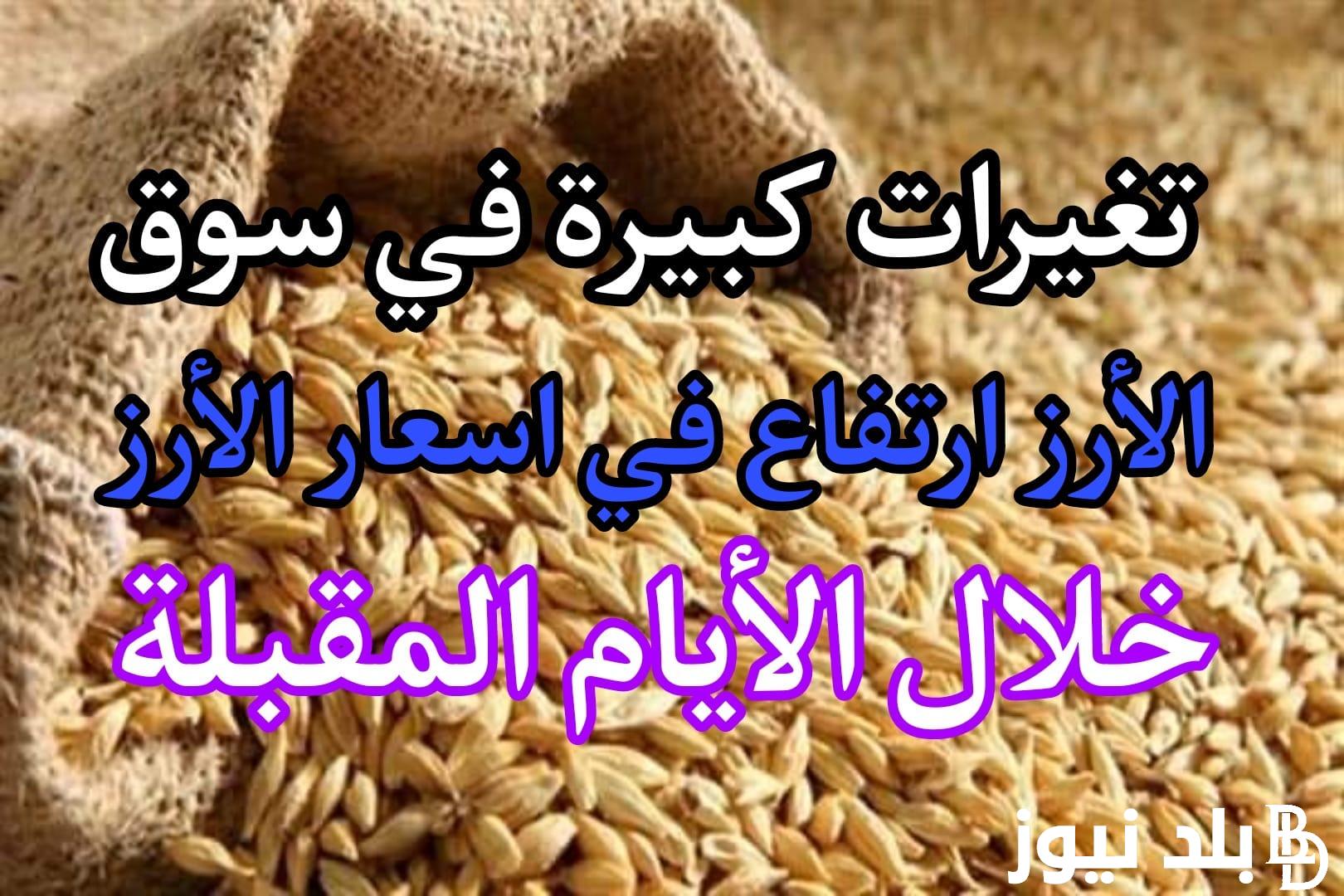 ” تحديث” اسعار الأرز الشعير اليوم الأربعاء 15/11/2023 بجميع الأسواق المصرية للمستهلك