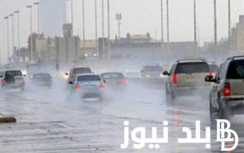 هنـأجـز ولا لا؟.. حقيقة تعطيل الدراسة غداً في مصر.. وزارة التعليم تُوضح