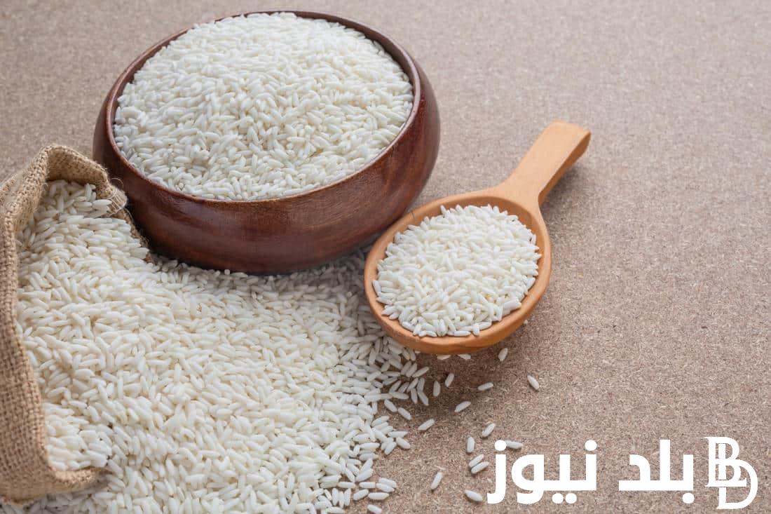 بكام الطن؟.. أسعار الأرز الشعير اليوم الثلاثاء 21/11/2023 بجميع الاسواق المحلية