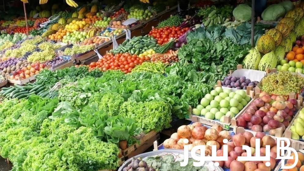 اليكم قائمة أسعار الخضار اليوم بالكيلو الإثنين 20 نوفمبر 2023 في مصر للمستهلك