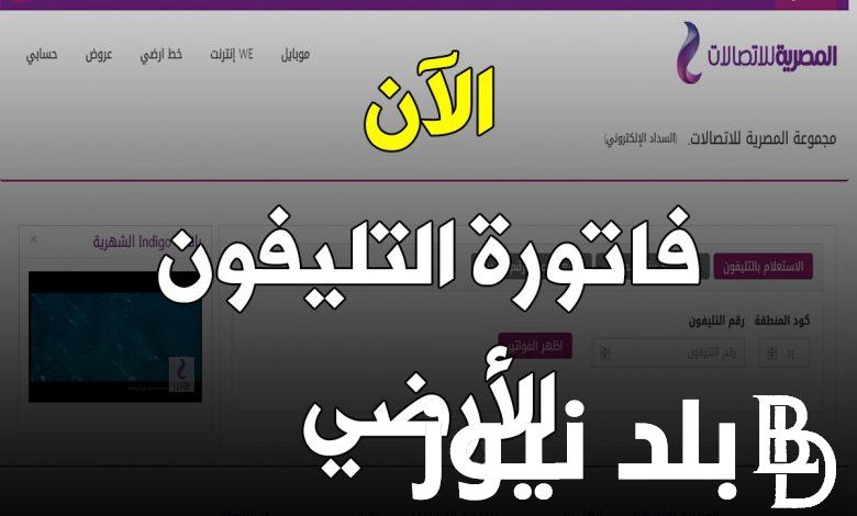 “بضغطة زرار” الاستعلام عن فاتورة التليفون الأرضي بالرقم لشهر نوفمبر 2023 عبر billing.te.eg