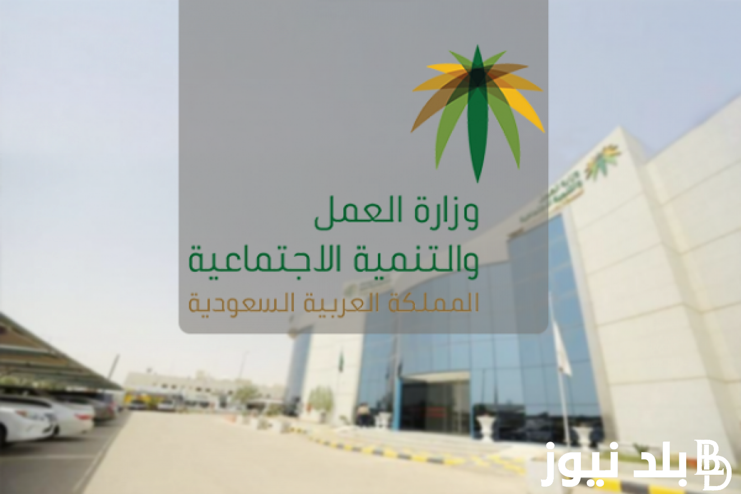 خطوات الاستعلام عن خدمات مكتب العمل 1445 عبر موقع وزارة الموارد البشرية والتنمية الاجتماعية