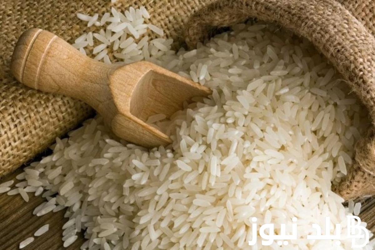 بكام النهاردة؟ سعر الارز الشعير اليوم الثلاثاء 21/11/2023 للمستهلك في مصر بالاسواق المحلية