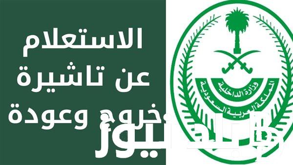 رابط الاستعلام عن تأشيرة السعودية برقم الجواز 2023 من خلال منصة خدمات التأشيرات الإلكترونية (إنجاز) visa.mofa.gov.sa