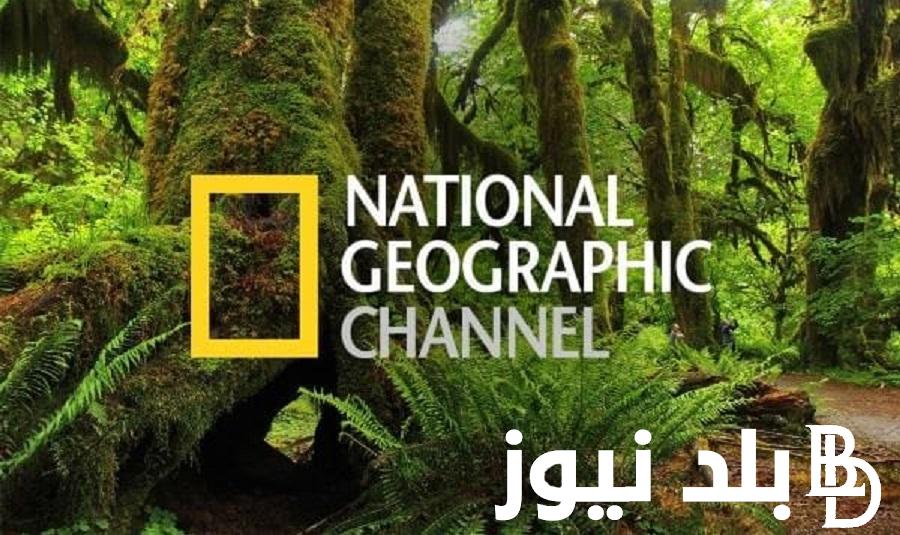 استقبل الان تردد قناة ناشيونال جيوغرافيك 2023 نايل سات لمتابعة افضل البرامج الوثائقية