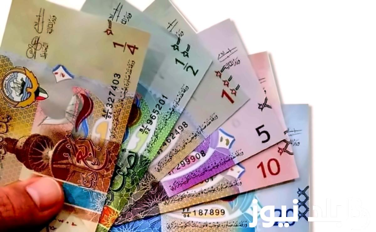 سعر الدينار الكويتي في السوق السوداء اليوم 8/11/2023 واسعار العملات العربية في البنوك المصرية