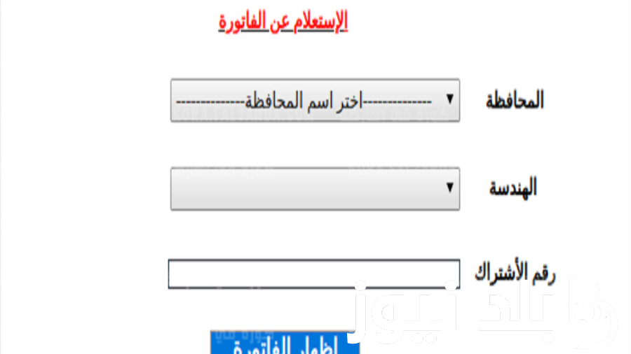 الاستعلام عن فاتورة الكهرباء برقم العداد 2023 لشهر نوفمبر عبر موقع وزارة الكهرباء والطاقة المتجددة moee.gov.eg