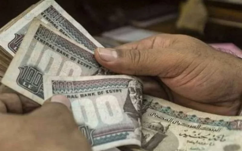 عاااجل ورسمياً … موعد صرف مرتبات شهر نوفمبر 2023 لجميع العاملين فى الدولة المعلن من وزارة المالية