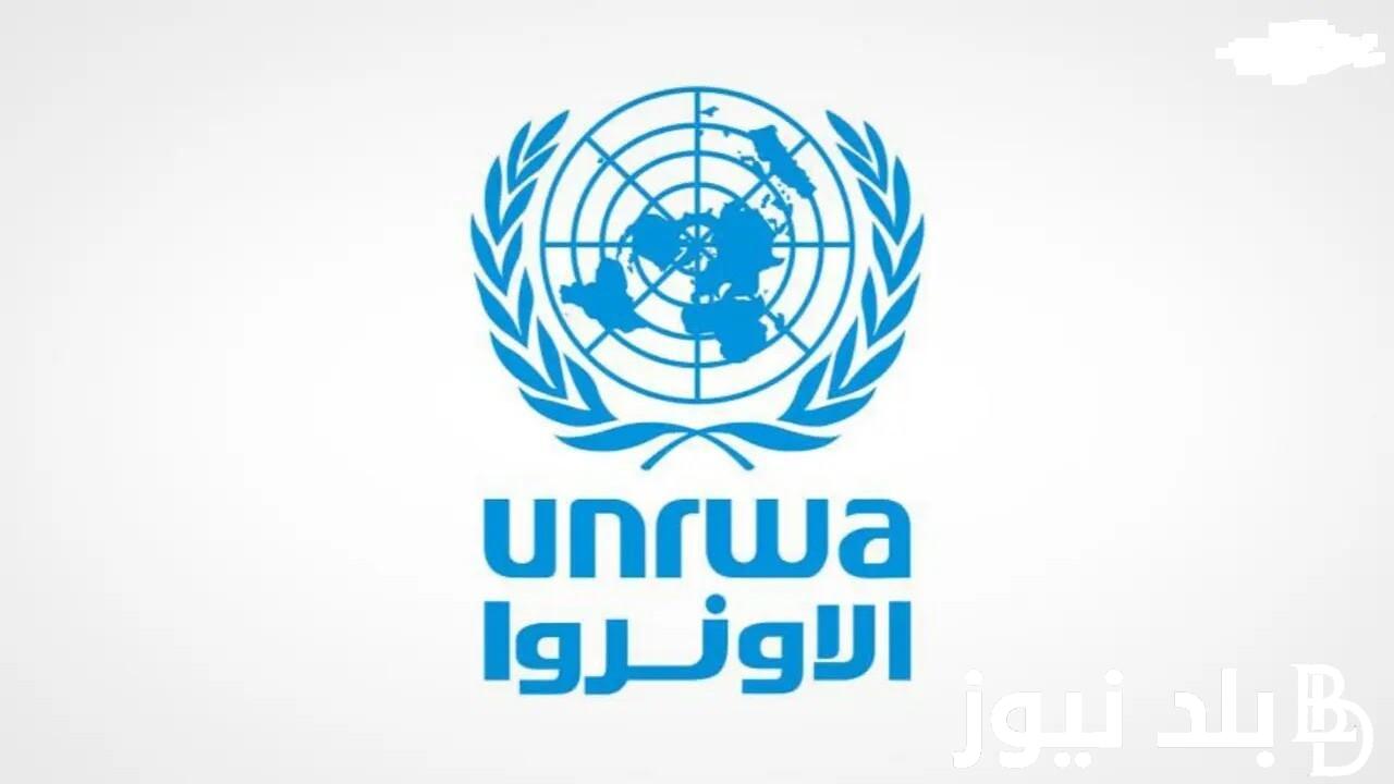 “من هُنا” رابط فحص طحين الوكالة UNRWA لأهالي غزة 2023 من خلال foodaid.azurewebsites