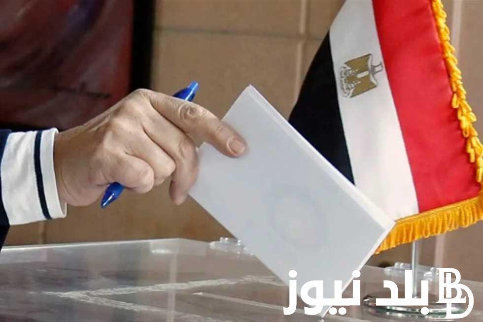 “انزل انتخب” موعد الانتخابات الرئاسية في مصر وخطوات تغيير اللجنة الانتخابية عبر www.elections.eg