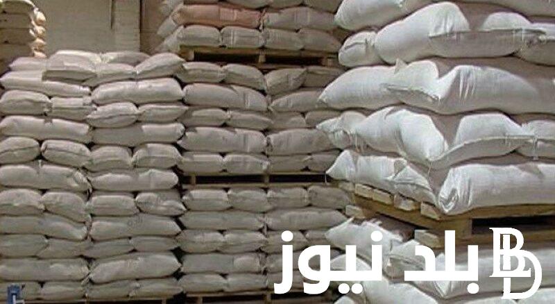 “حــان وقت الطحين” فحص موعد استلام المساعدة الغذائية 2023 للأسر المتضررة قطاع غزة