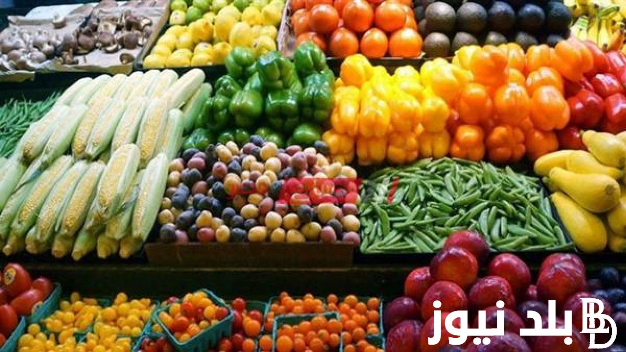 “مجنونة ياقوطة” أسعار الخضار اليوم بالكيلو الإثنين 13-11-2023 للمستهلك في سوق العبور