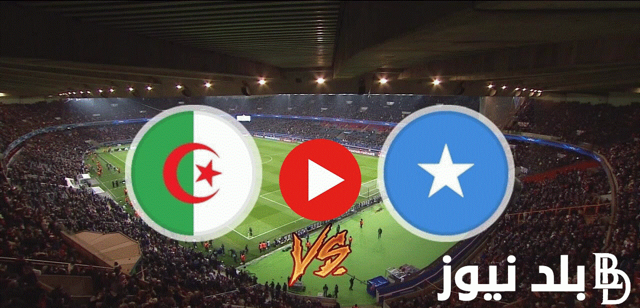 “Algeria vs Somalia” .. استقبل القنوات الناقلة لمباراة الجزائر والصومال في تصفيات كأس العالم 2026