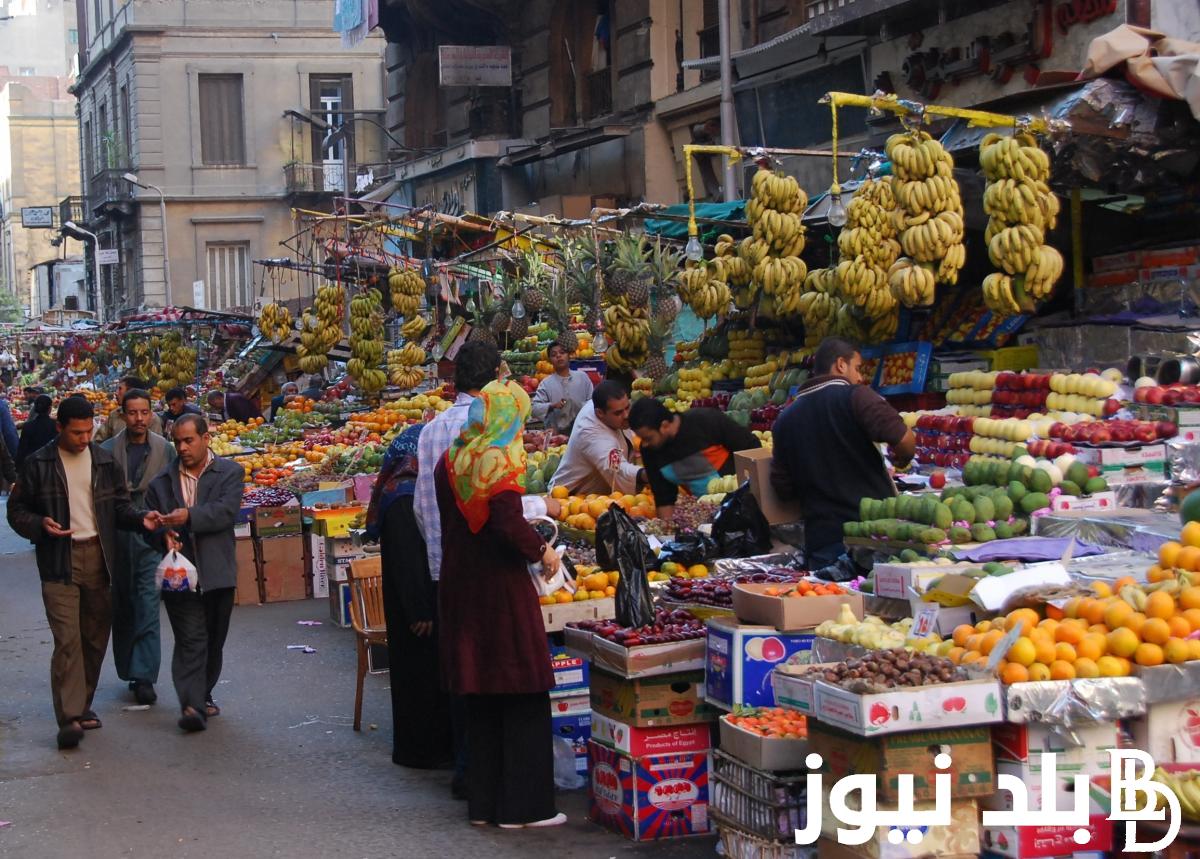كم سعر البطاطس اليوم في مصر | جدول أسعار الخضروات والفاكهة بمصر اليوم الأحد 19-11-2023 في سوق العبور