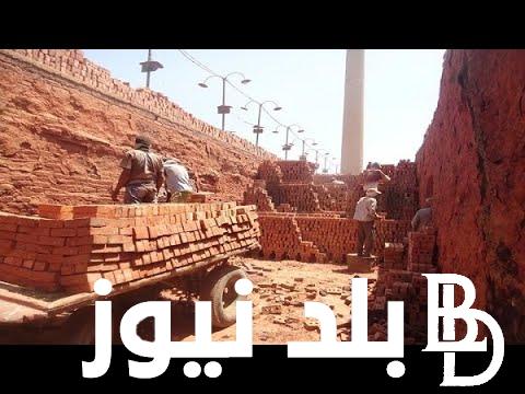 سعر الطوب الأحمر اليوم الاثنين 20 نوفمبر 2023 واسباب ارتفاعه