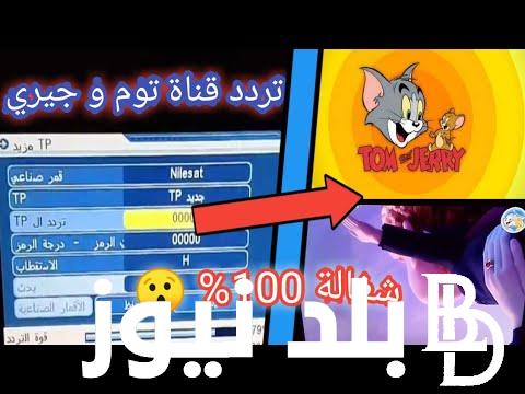 استقبل تردد قناة توم وجيري 2023 لمتابعة اروع أفلام الكرتون على النايل سات