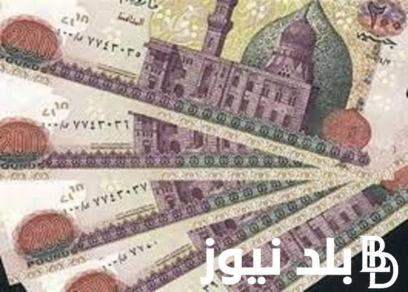 وزارة المالية تُعلن موعد مرتب شهر نوفمبر 2023 لجميع القطاعات