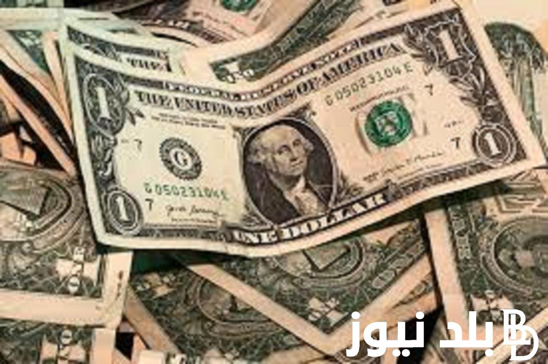 الدولار بكام؟.. سعر الدولار اليوم في مصر 2023 في السوق السوداء امام الجنيه المصري