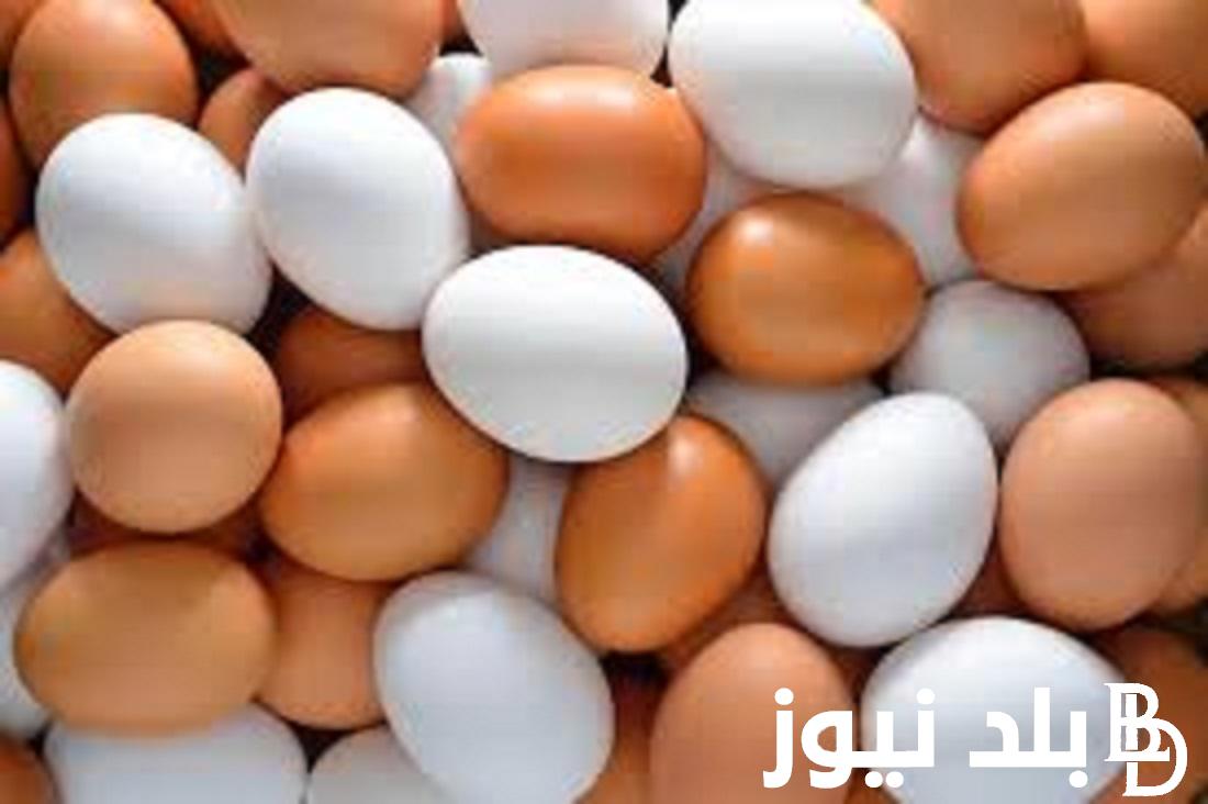 تعرف على سعر كرتونة البيض اليوم للمستهلك في مصر في جميع الاسواق