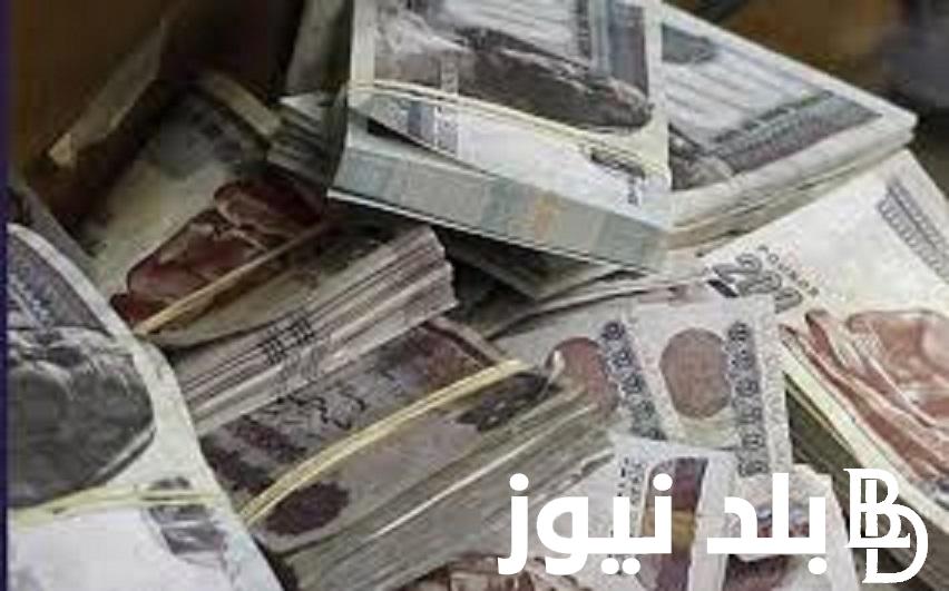 حقيقة تبكير صرف مرتبات شهر نوفمبر 2023.. المالية توضح