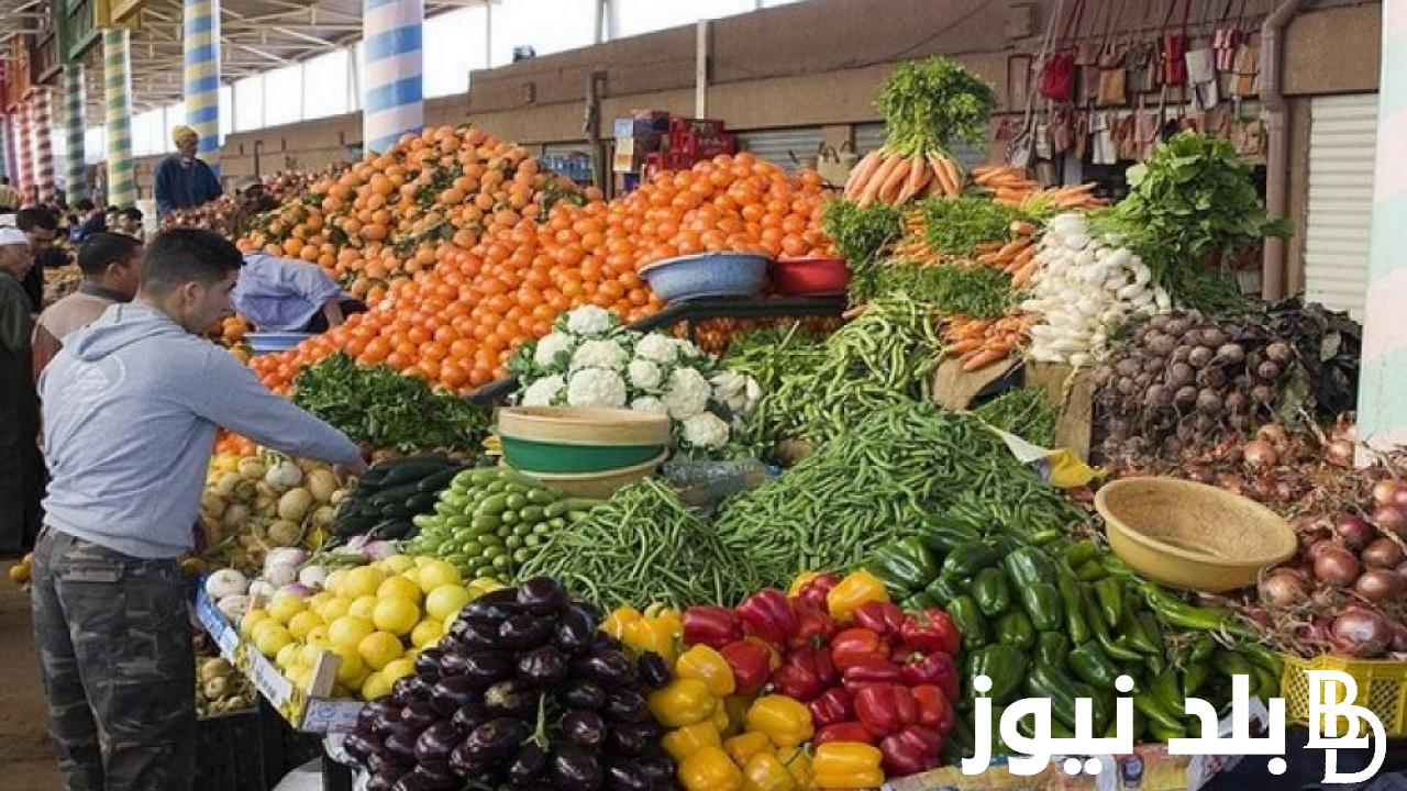 “بكم الكيلو؟” أسعار الخضروات والفاكهة بمصر اليوم الأربعاء 22 نوفمبر 2023 للمستهلك