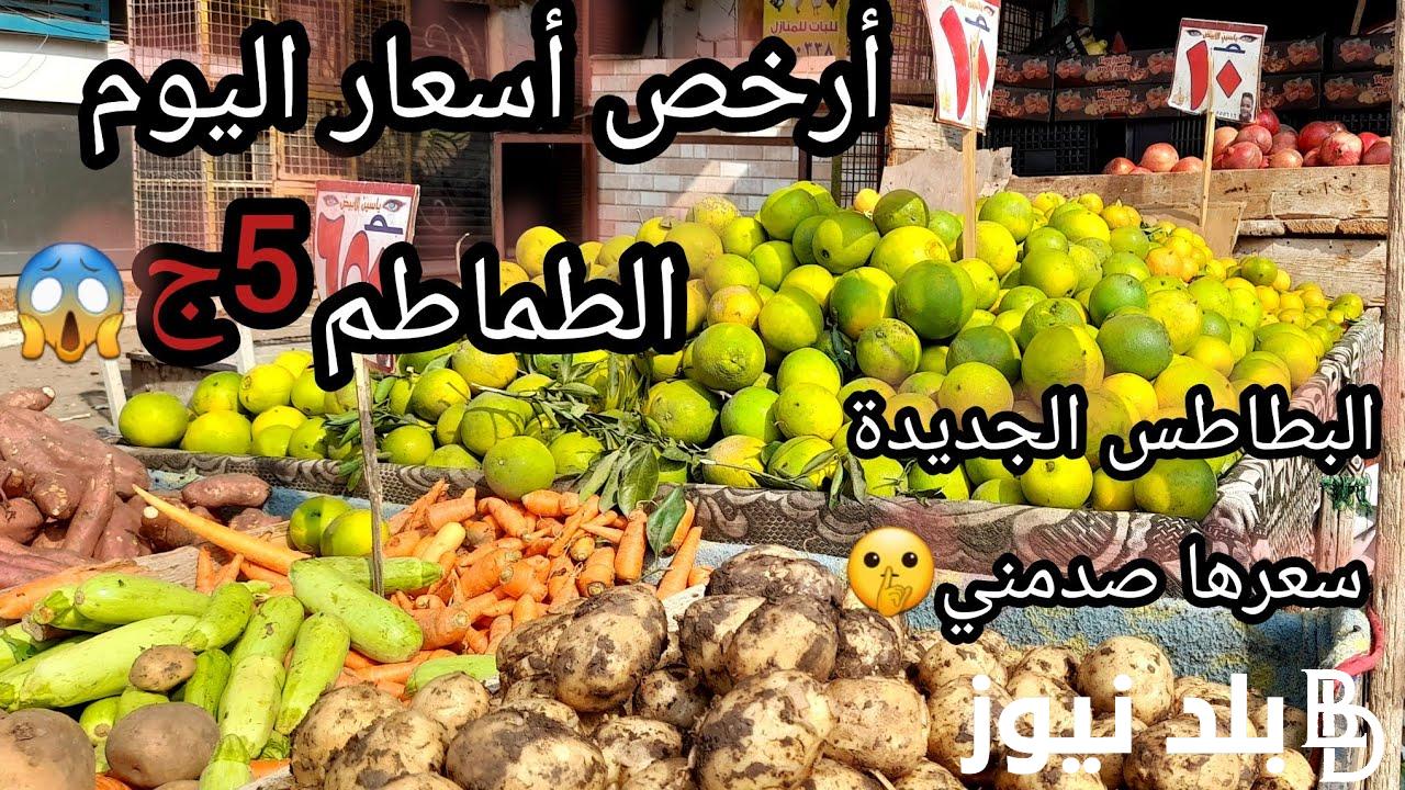 اعرف بكم سعر الخضار اليوم بالكيلو السبت 25/11/2023 للمستهلك في أسواق التجزئة