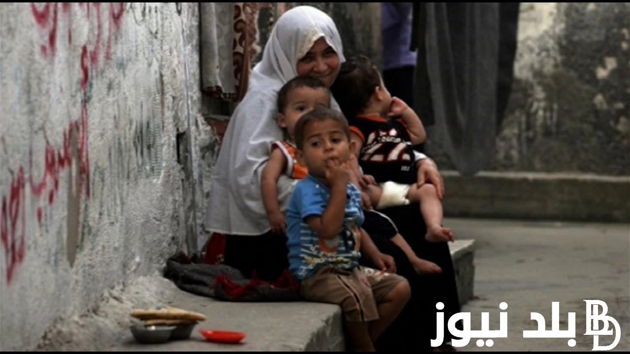 رابط فحص الطحين في غزة 2023 التابع للأونروا