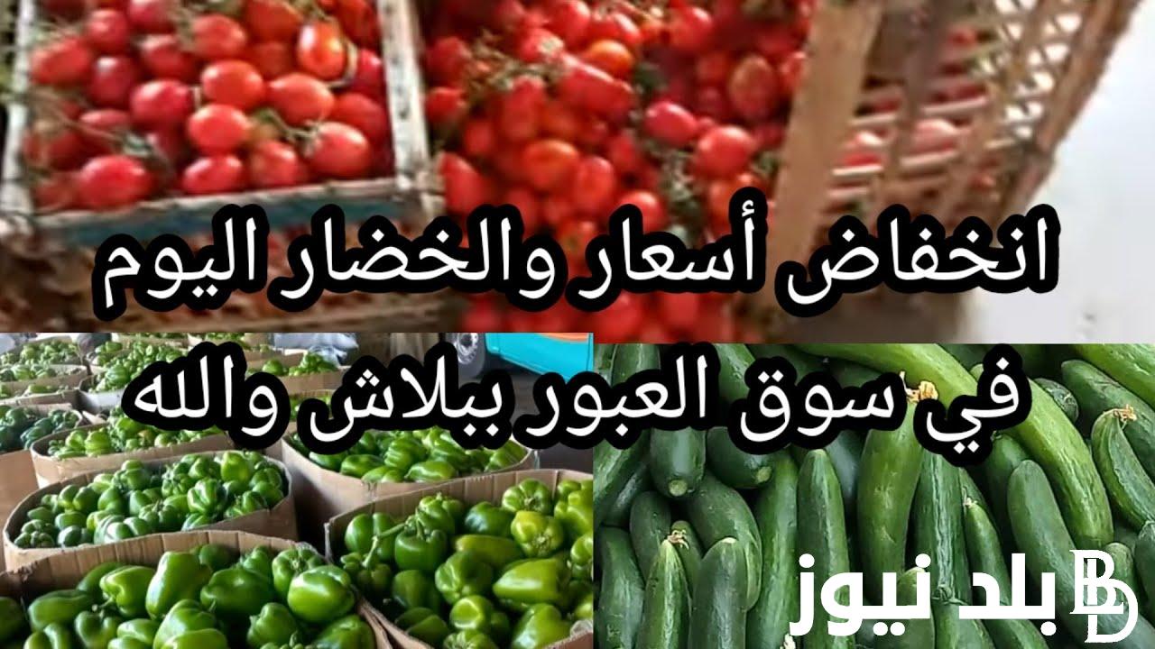 ننشر جدول أسعار الخضار اليوم السبت 25 نوفمبر 2023 للمستهلك في مصر