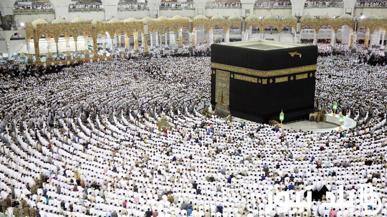 رسمياً نتيجة قرعة الحج 2024 في المحافظات وشروط ورابط التقديم عبر موقع بوابة الحج المصرية