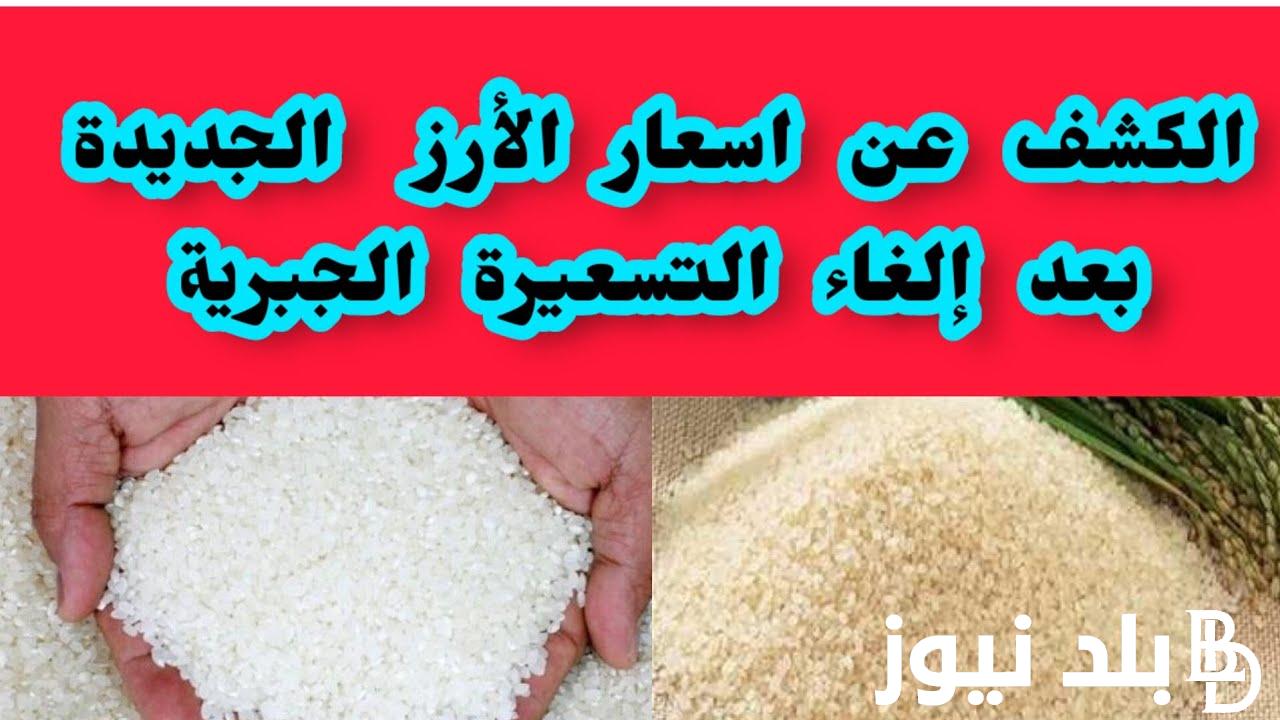 “اعرف الآن” سعر الأرز الشعير الآن اليوم الأحد 19/ 11/ 2023 للمستهلك في مصر و بجميع الاسواق