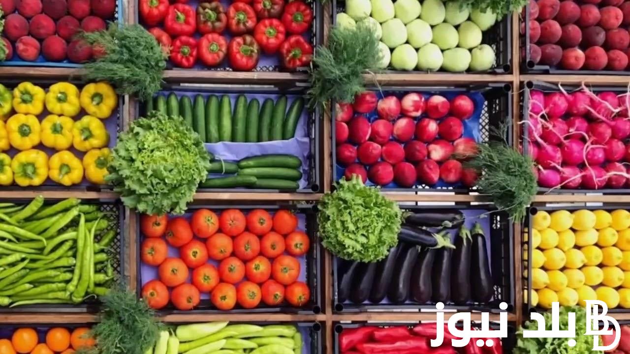 بكام أسعار الخضار والفواكه اليوم الأحد 12-11-2023 بالكيلو للمستهلك في سوق العبور