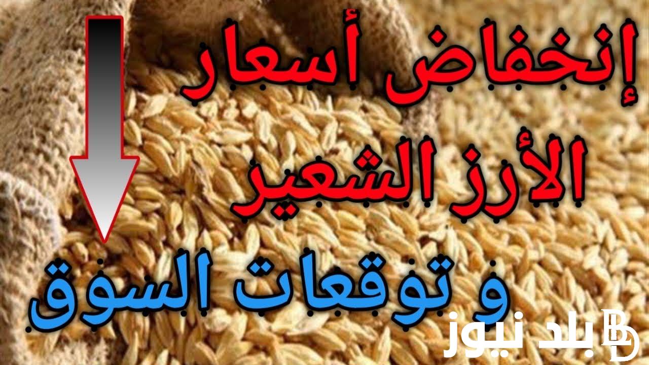 “أعــرف دلوقتي” سعر الارز الشعير اليوم الأثنين 20/ 11/ 2023 للمستهلك في مصر بجميع الاسواق المحلية والمحلات التجارية