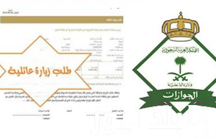 لينكـ الاستعلام عن تأشيرة زيارة برقم الجواز 1445 عبر منصة إنجاز injaaz واهم الشروط المطلوبة