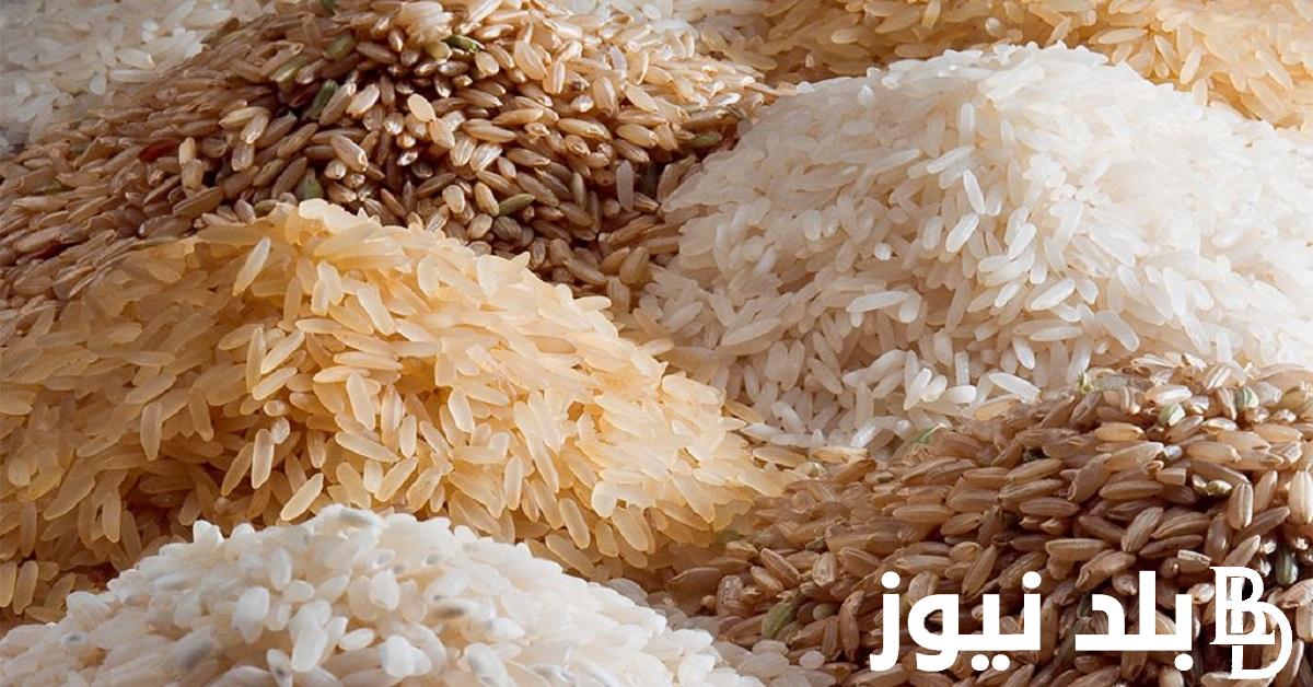 “أعرف الآن” سعر الارز الشعير اليوم الخميس 23/ 11/ 2023 للمستهلك بكافة الأسواق المحلية