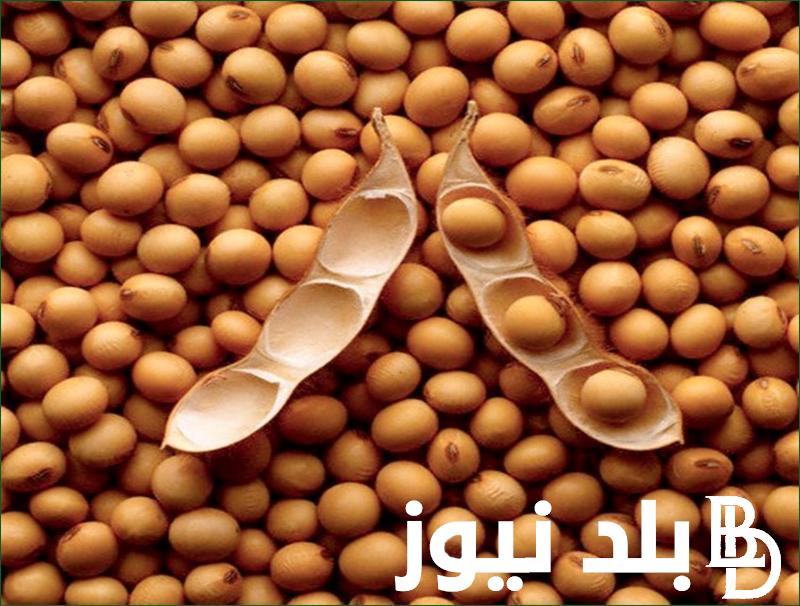 تراجــــع سعر طن فول الصويا اليوم 22/11/2023 بعد مدخلات الإنتاج من الأعلاف