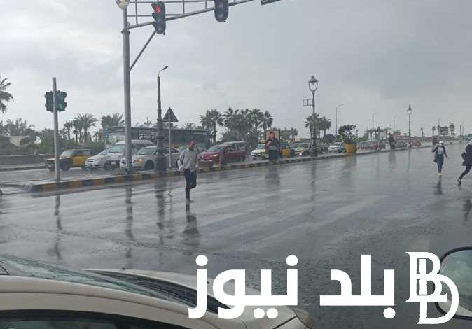 اليكم الان حالة الطقس غداً الجمعه 1/12/2023 في كافة المحافظات المصرية وفقا لهيئة الأرصاد الجوية