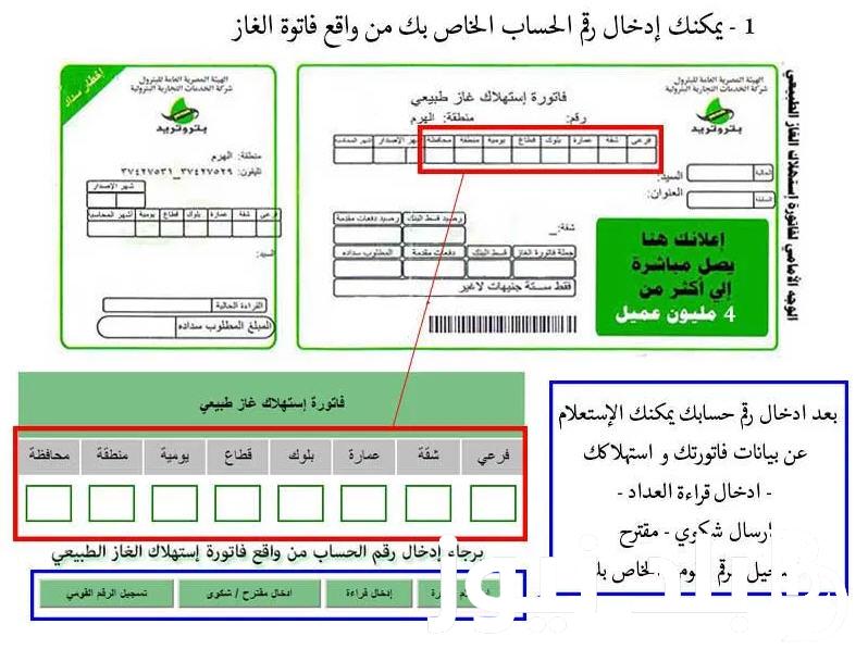 لينكـ الاستعلام عن فاتورة الغاز 2023 برقم العداد لشهر نوفمبر بالرقم القومي عبر petrotrade.com.eg
