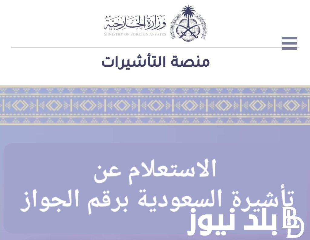 “NOW” الاستعلام عن تأشيرة السعودية برقم الجواز 1445 من خلال منصة إنجاز visa.mofa.gov.sa