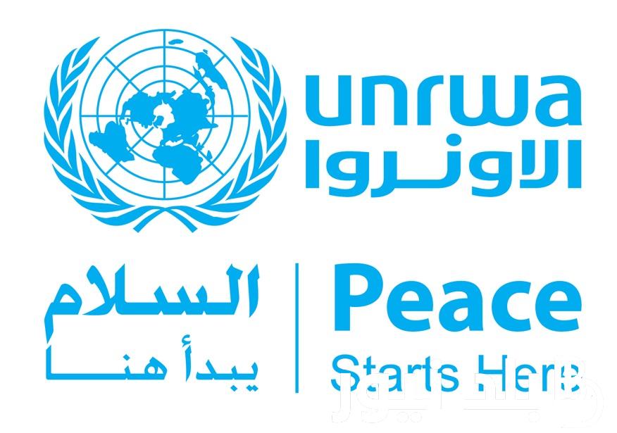 الآن.. تفعيل رابط فحص طحين الوكالة لكل المحافظات في فلسطين وما هو موعد توزيع الطحين في غزة